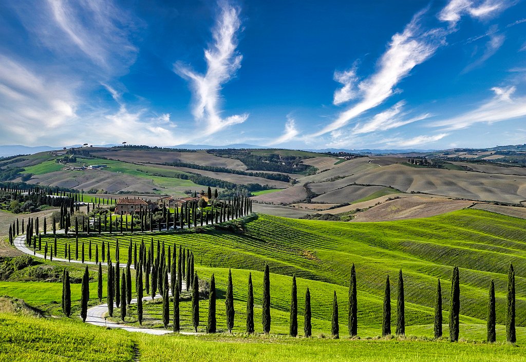 segnalato TIBERIO VALERIO 3_2_ Crete senesi_ Sez. I.jpg